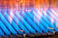 Buttonbridge gas fired boilers